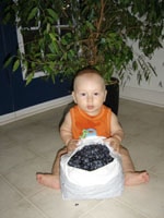 1-08-2007- Fionn's blueberries#1