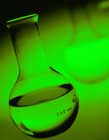 maltodextrin