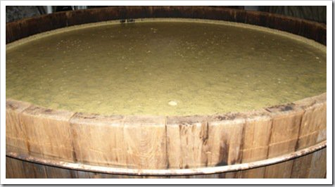 bourbon fermenting