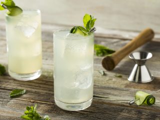 Gin Fizz / Tom Collins