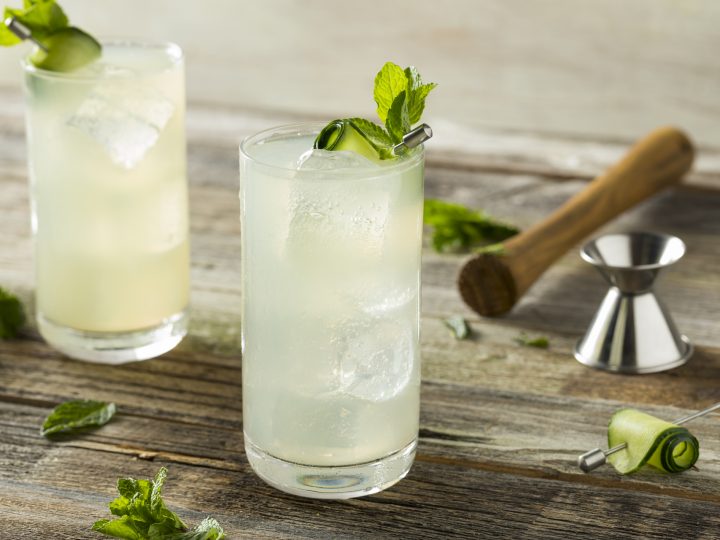 Gin Fizz Cocktail Highball