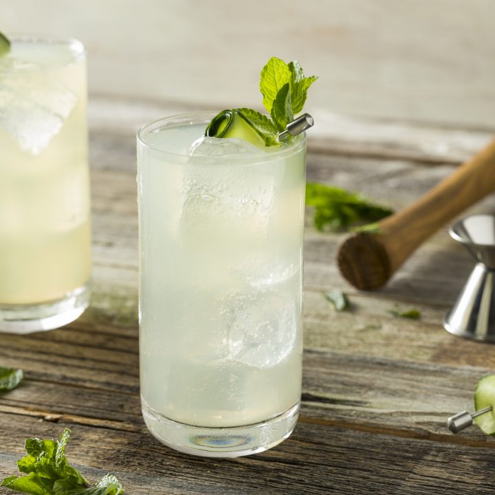 Easy Gin Fizz vs Tom Collins Which is the Best?