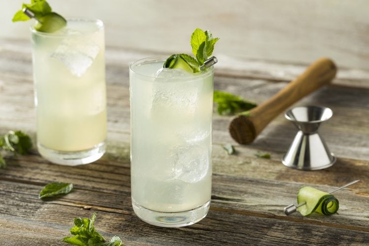 Gin Fizz Cocktail Highball