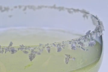 Margarita Recipe