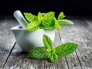 Homemade Cream de Menthe