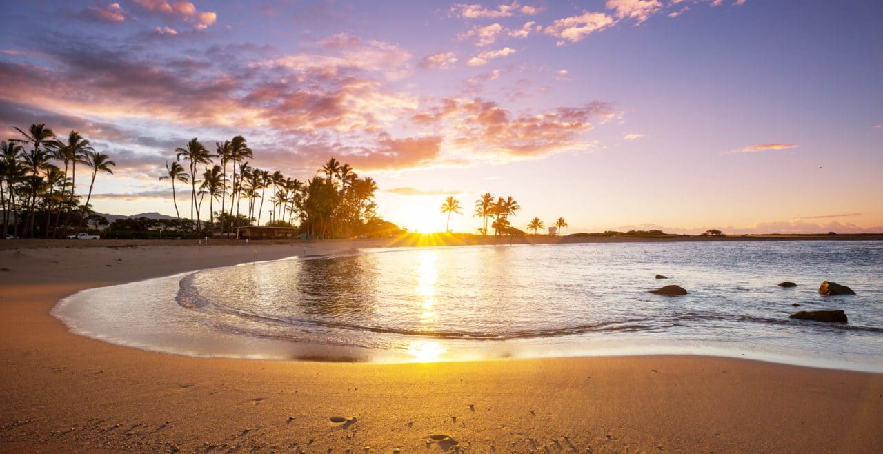 Hawaiian Beach Tiki