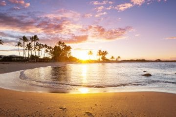 Hawaiian Beach Tiki