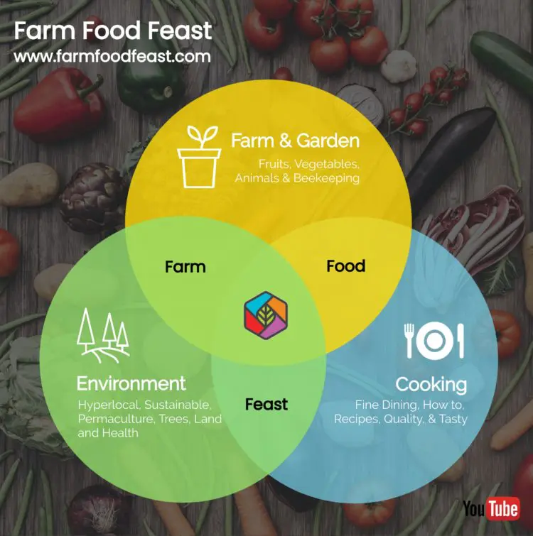 Introduction to Farm Food Feast